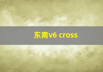 东南v6 cross